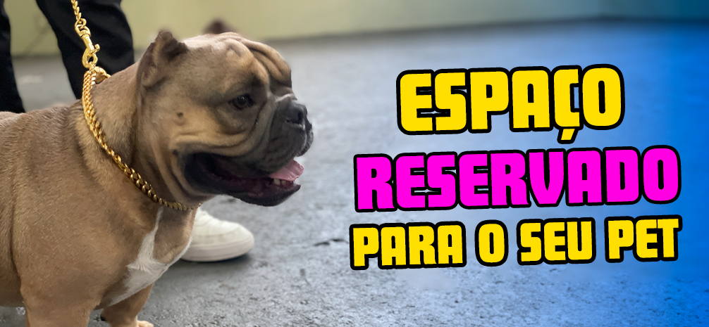 Espaço reservado para o seu PET na Festa da Tainha de Praia Grande!